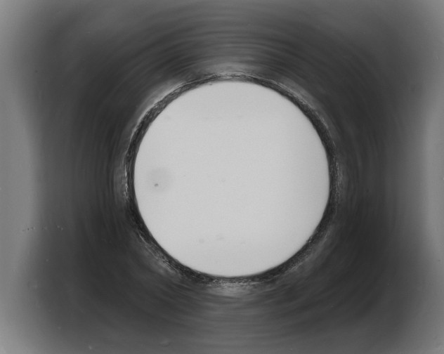X0000103970782200810311523