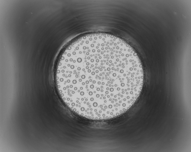 X0000103970784200810311523