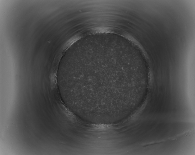 X0000103970785200810311523