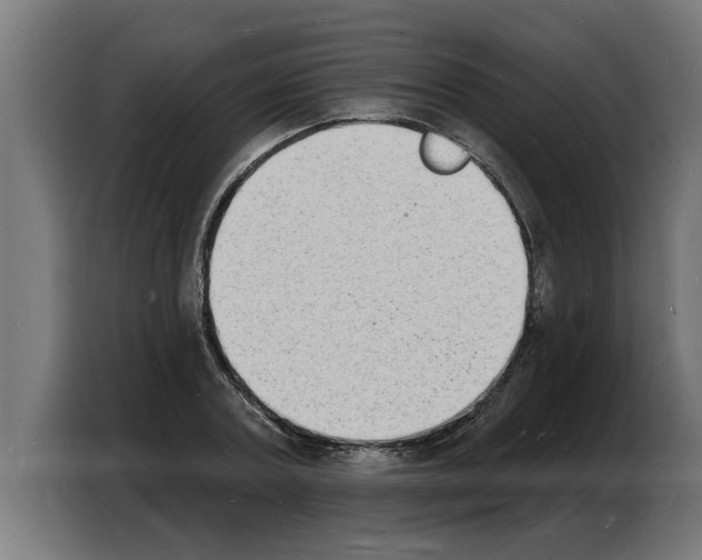 X0000103970787200810311523