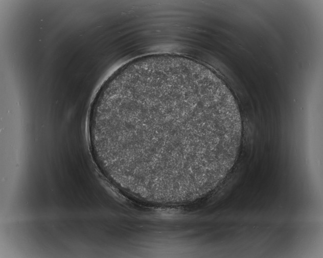 X0000103970788200810311523