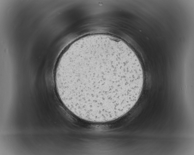 X0000103970789200810311523