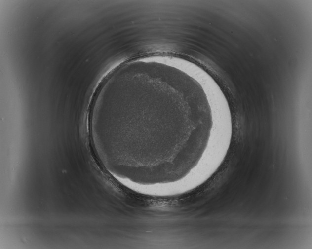 X0000103970790200810311523