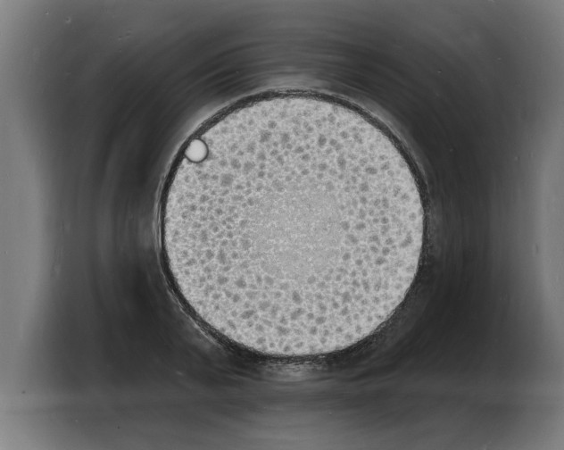 X0000103970791200810311523