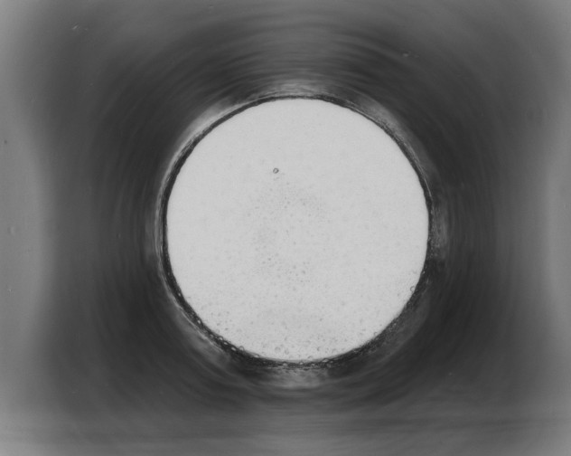 X0000103970795200810311523