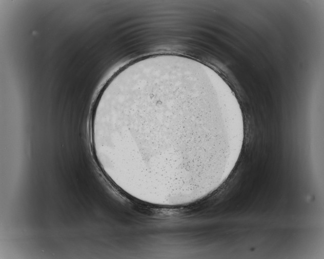 X0000103970796200810311523