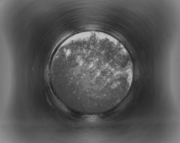 X0000103970798200810311523