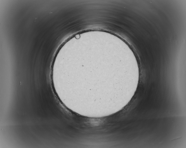 X0000103970799200810311523