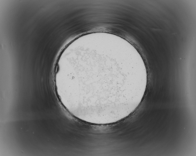X0000103970800200810311523