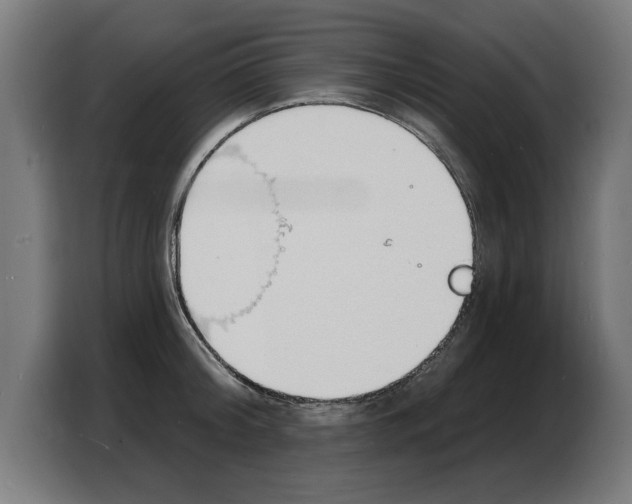 X0000103970804200810311523