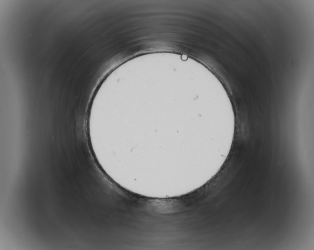 X0000103970805200810311523