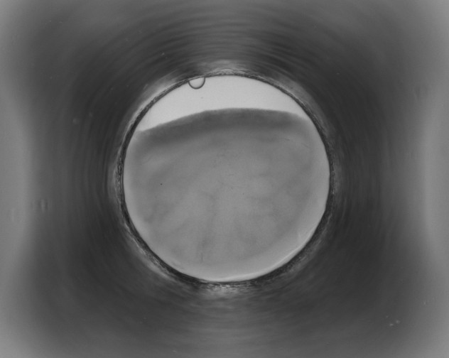 X0000103970806200810311523