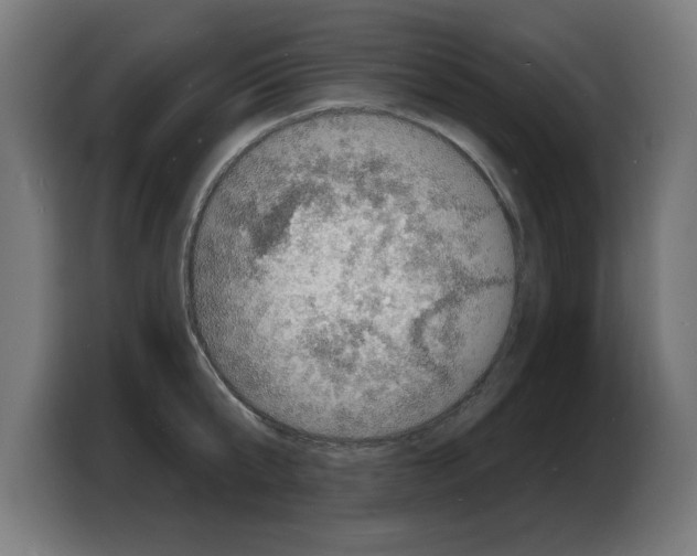 X0000103970807200810311523