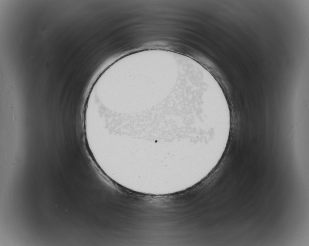 X0000103970808200810311523