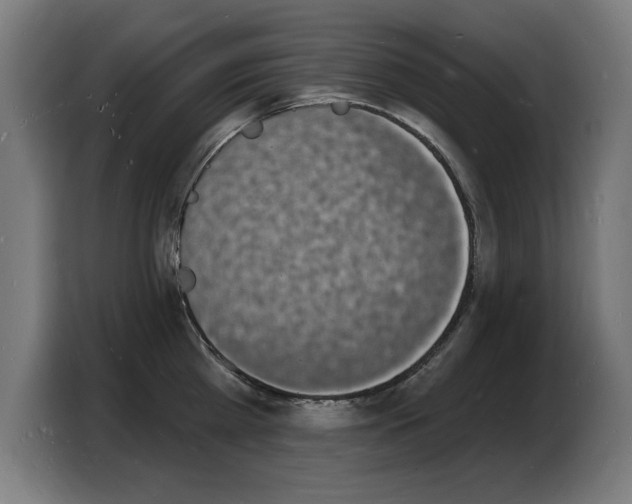 X0000103970809200810311523
