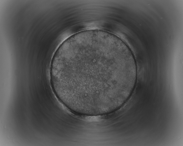 X0000103970810200810311523