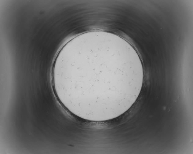 X0000103970811200810311523