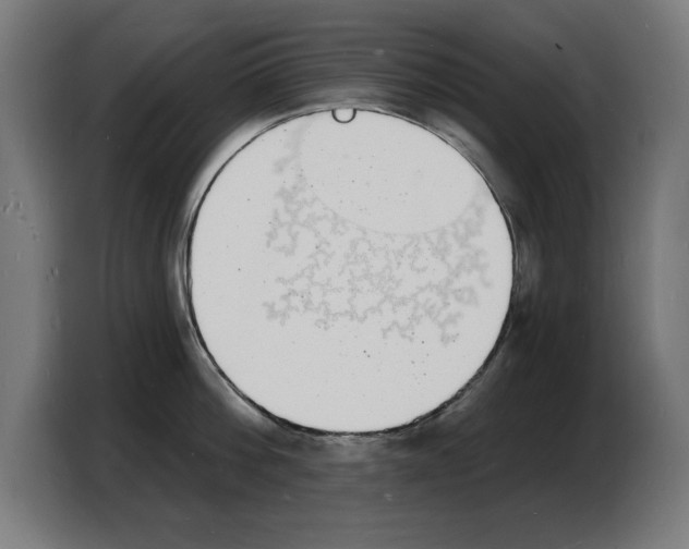 X0000103970812200810311523