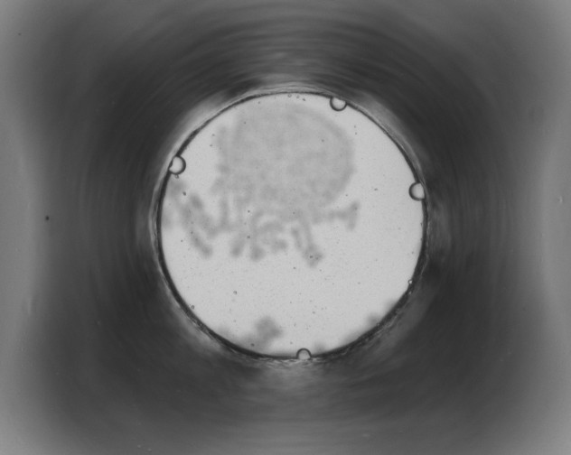 X0000103970813200810311523