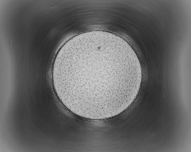 X0000103970814200810311523