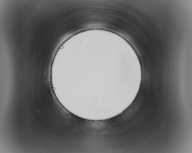 X0000103970815200810311523