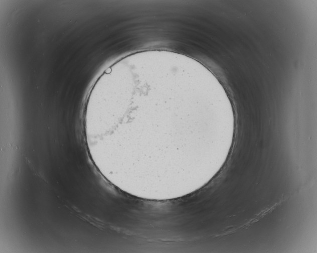 X0000103970816200810311523