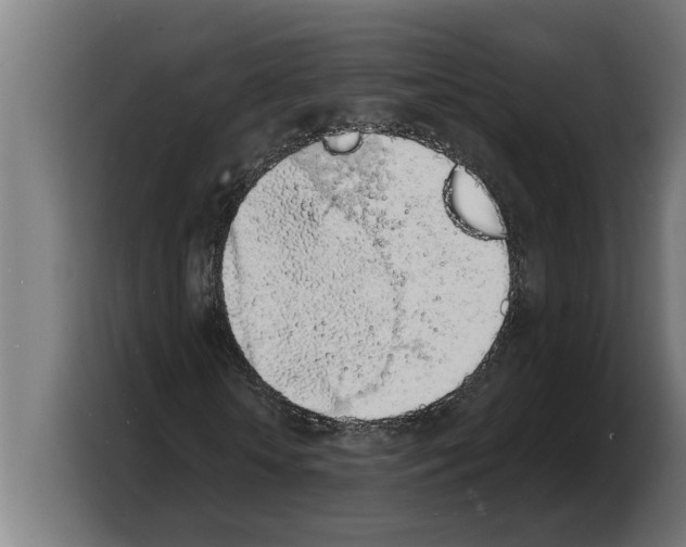 X0000103970818200810311522