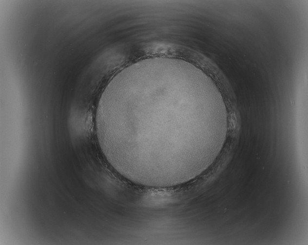 X0000103970820200810311522