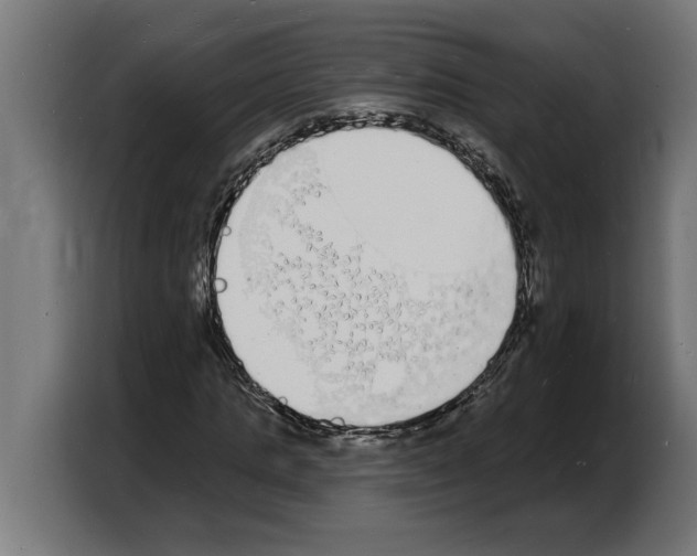 X0000103970821200810311522