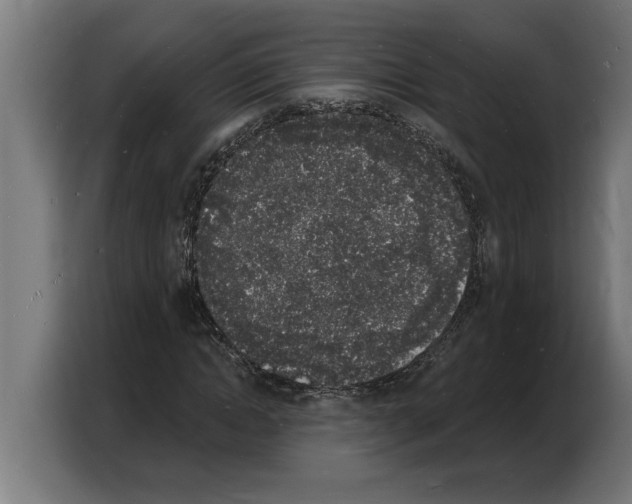 X0000103970822200810311522