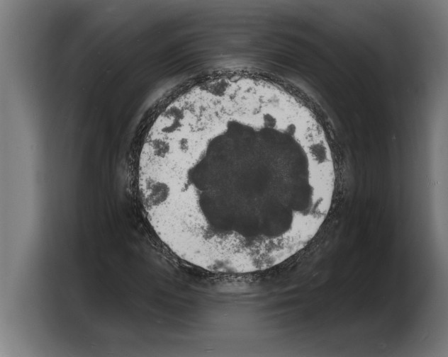 X0000103970823200810311522