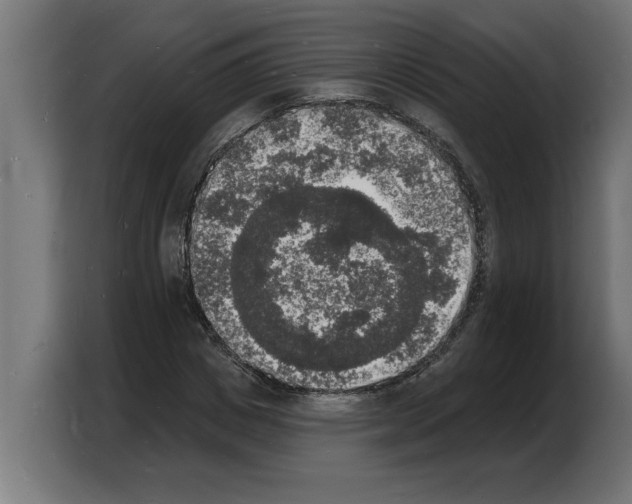 X0000103970825200810311523