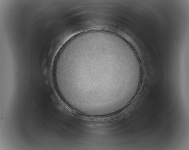 X0000103970828200810311523