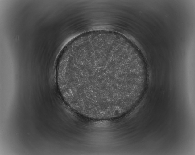 X0000103970830200810311523