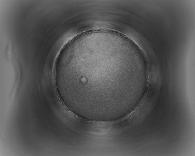 X0000103970832200810311523
