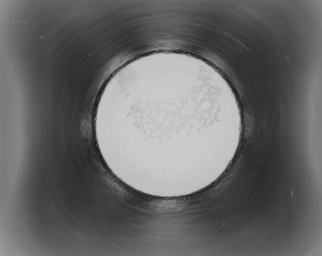X0000103970834200810311523