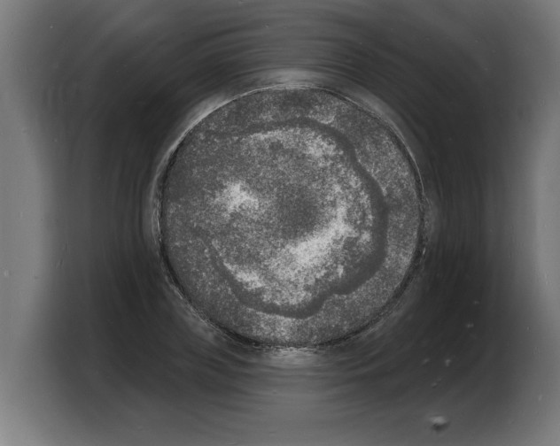 X0000103970835200810311523