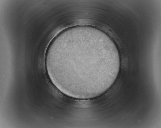 X0000103970836200810311523