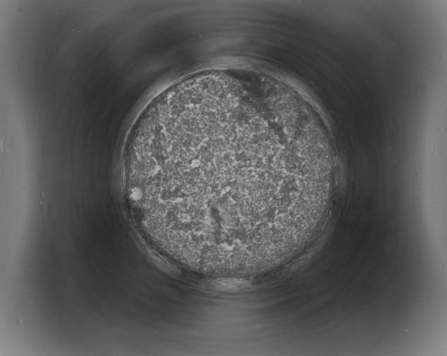X0000103970837200810311523