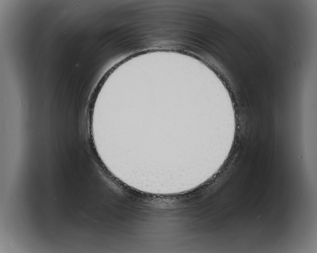 X0000103970838200810311523
