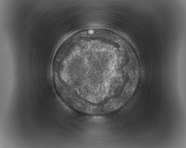 X0000103970839200810311523