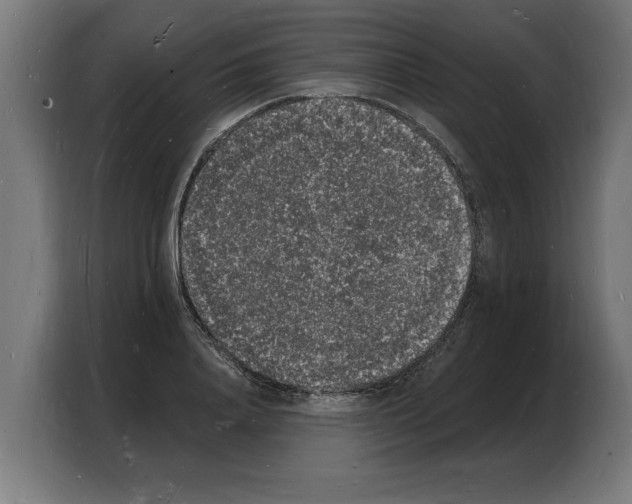 X0000103970840200810311523