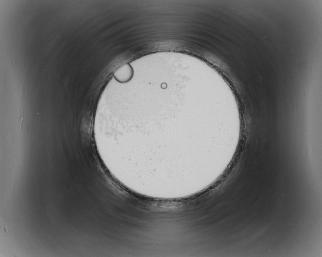 X0000103970841200810311523