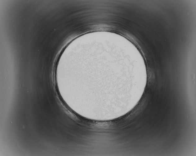 X0000103970843200810311523