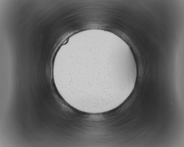 X0000103970844200810311523