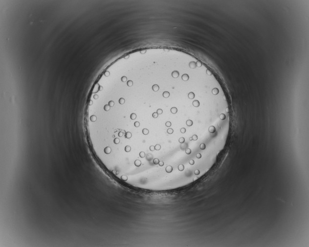 X0000103970847200810311523