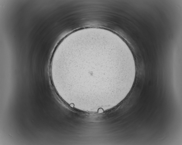 X0000103970848200810311523