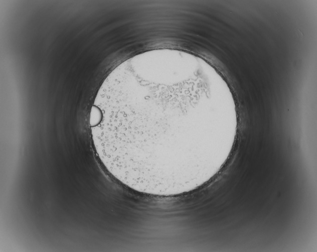 X0000103970849200810311523