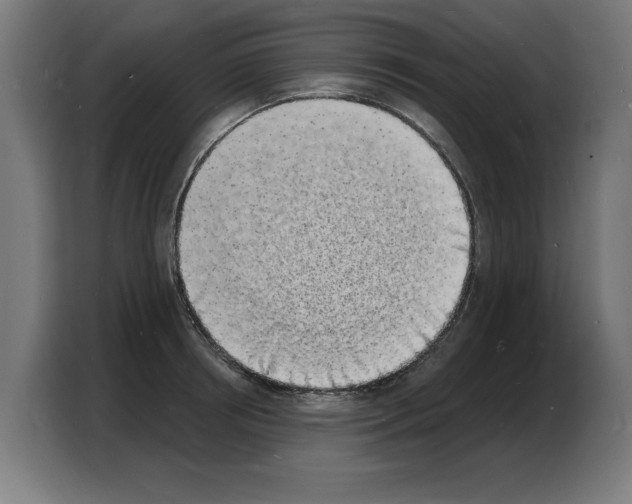 X0000103970850200810311523