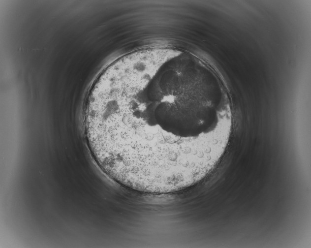 X0000103970851200810311523